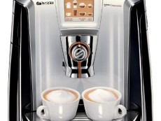 Reparaturanleitung Saeco Primea online